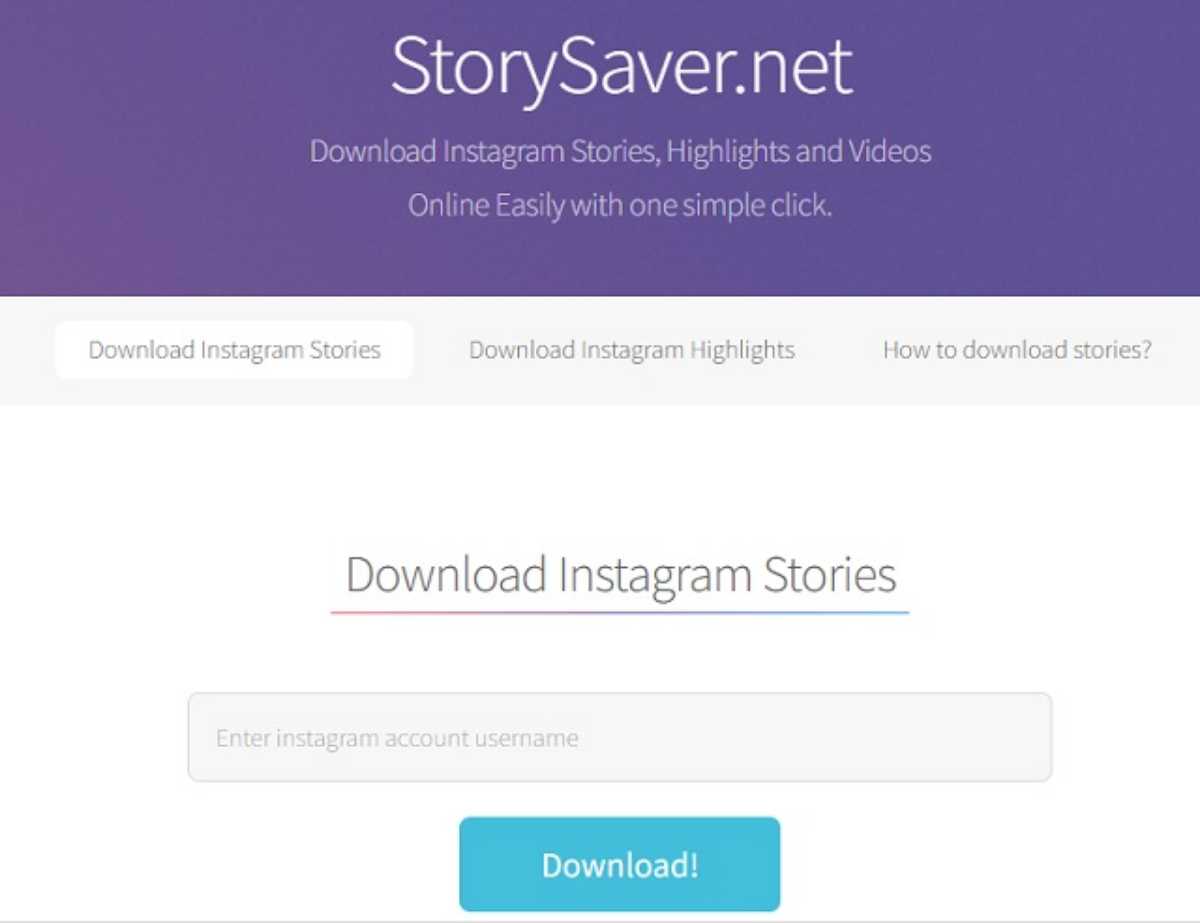 Download StorySaver Net App